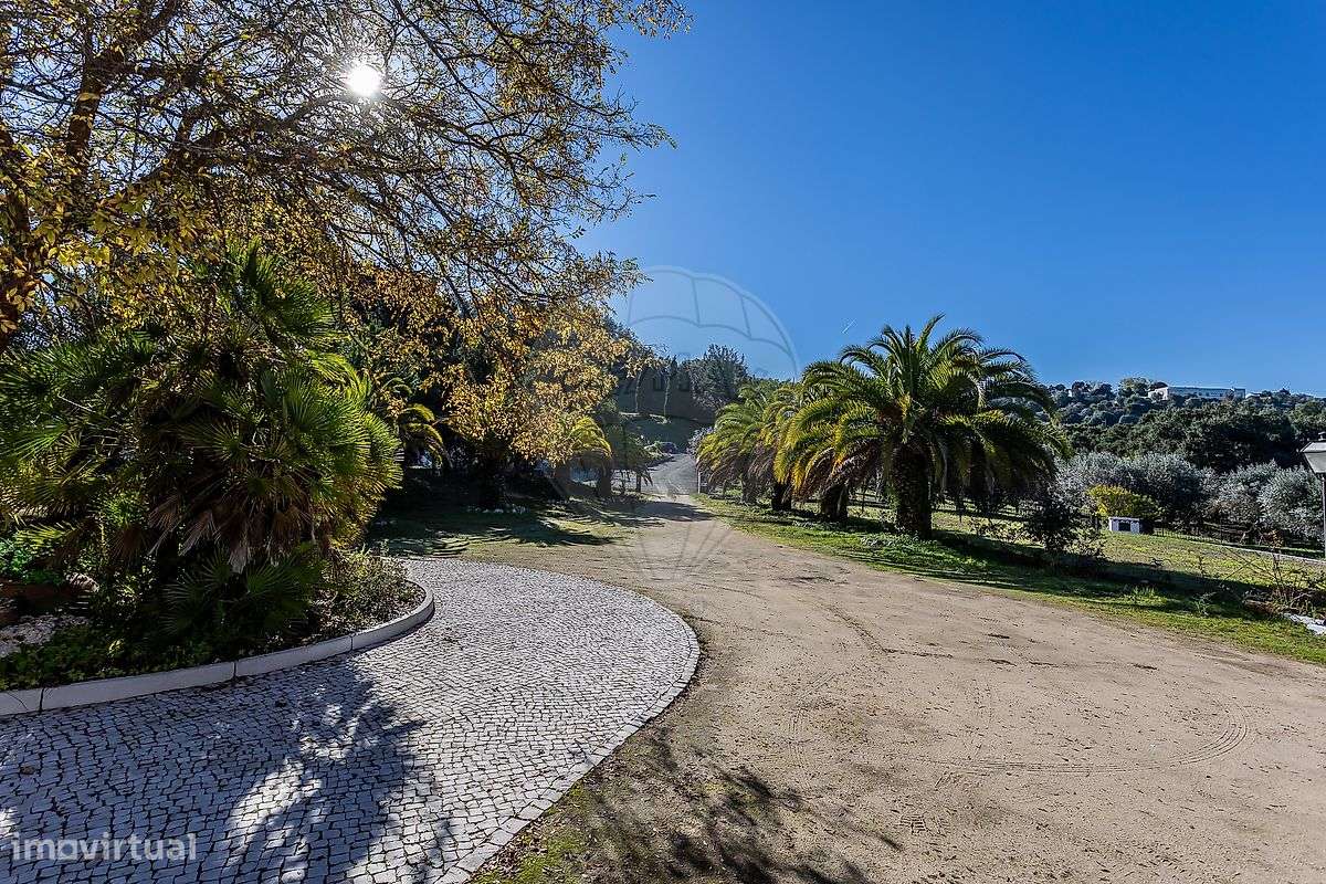 Quinta T5 para venda - Grande imagem: 4/35