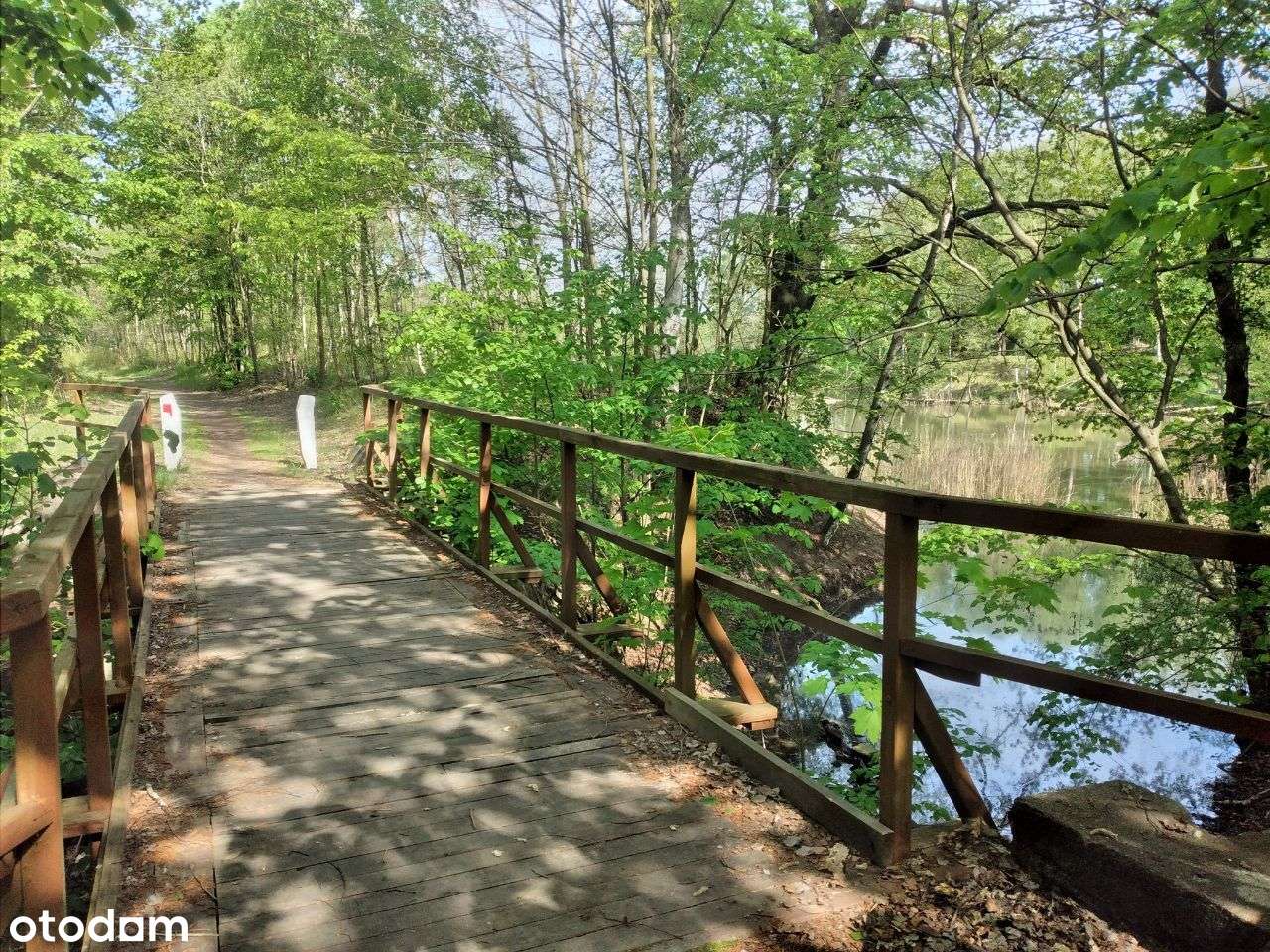 PROMOCJA - Działki budowlane nad jeziorem-17