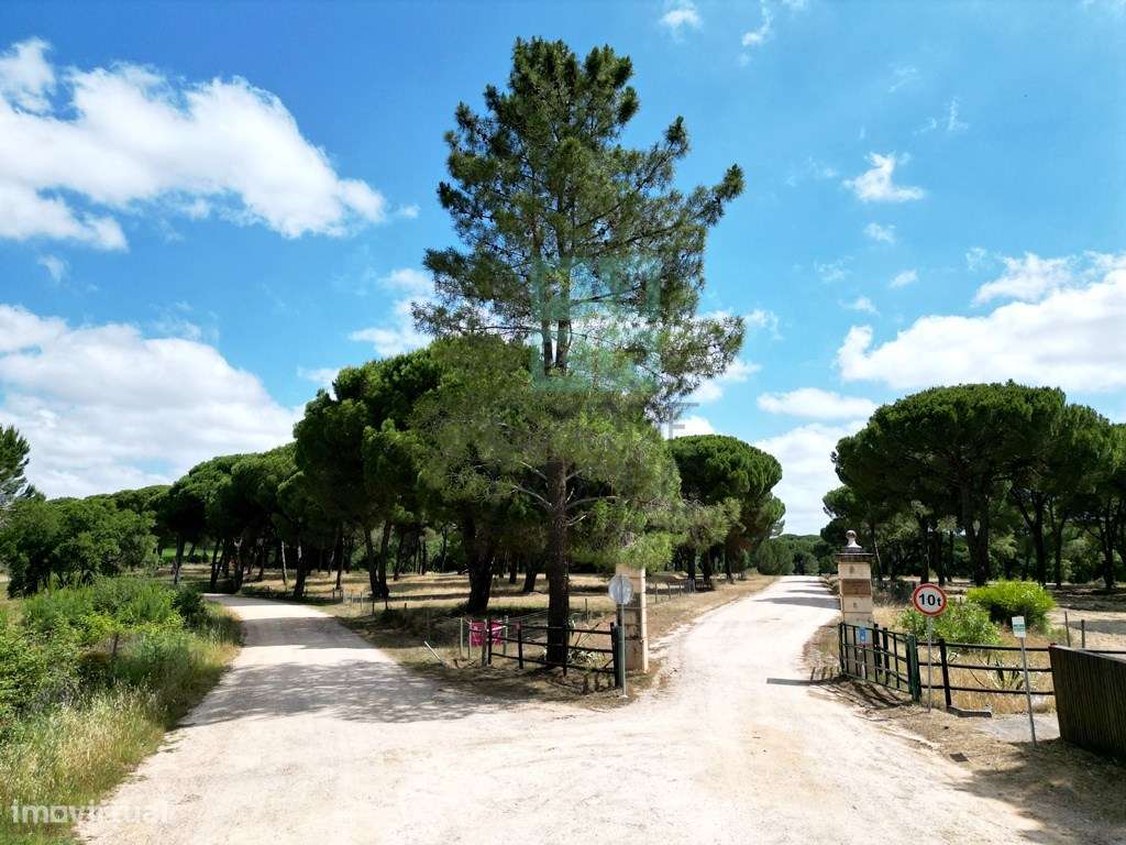 Lote de Terreno de 33.300m2, com lagoa, na Mata do Duque 1, Santo E...-4