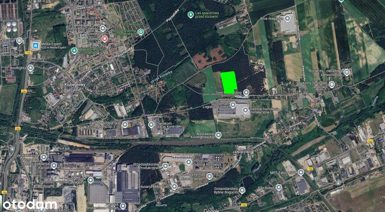 Karolin, teren inwestycyjny 38.600 m2 - Pełny obrazek: 3/6