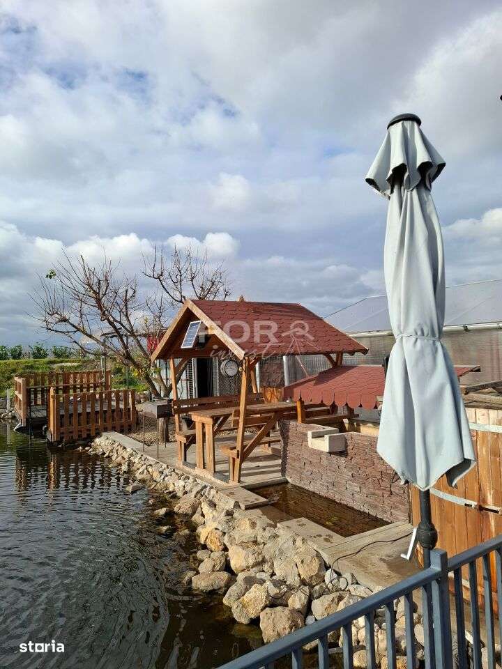 Cabana cu iaz, sera si 857mp teren de vanzare Livada de Bihor-5