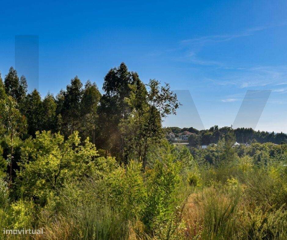 Terreno de 9.000 m2 em Milhundos com a Melhor Vista Panorâmica sobre-13