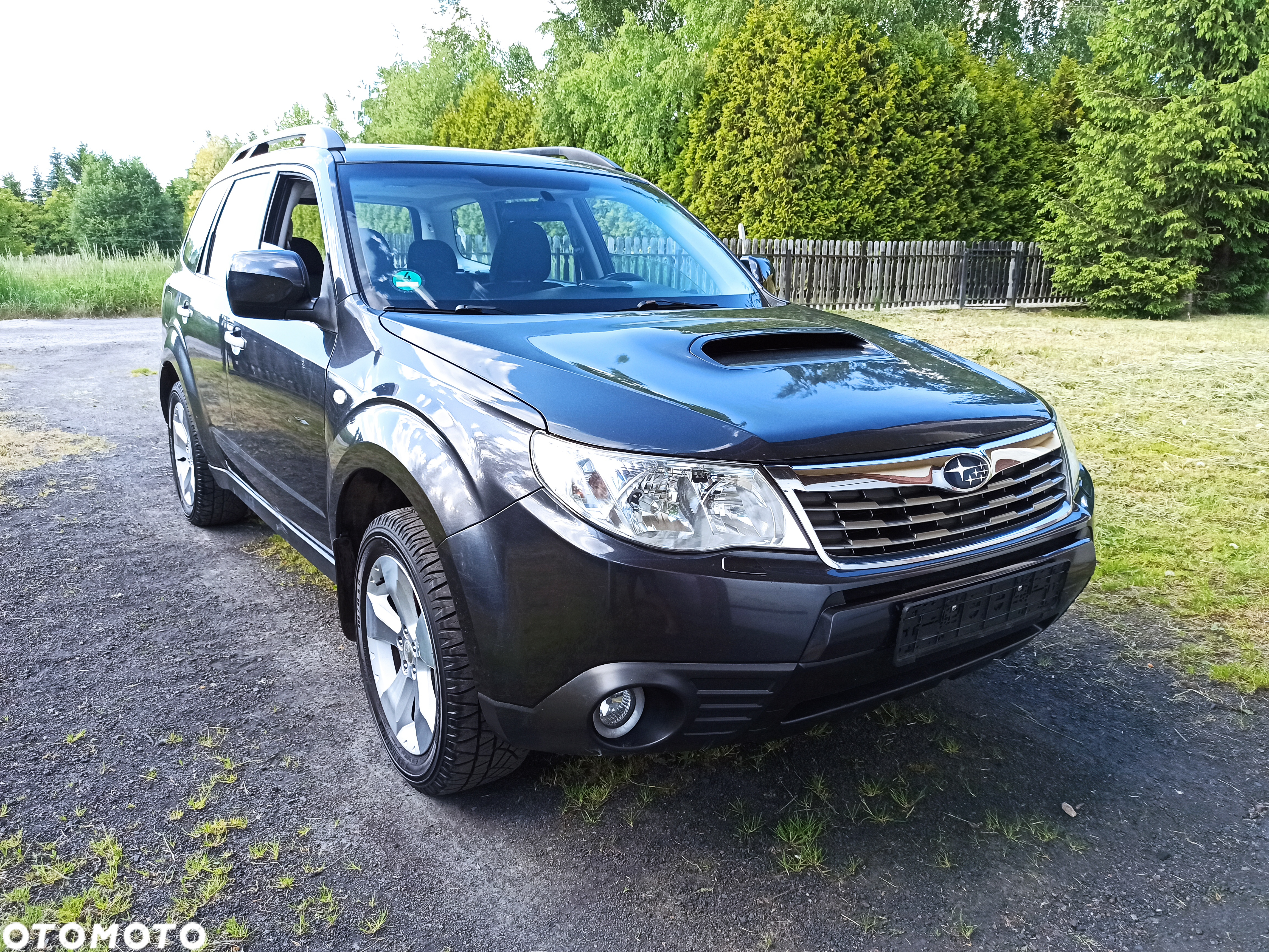 Subaru Forester 2.0D Active Deep Green Pearl - 9