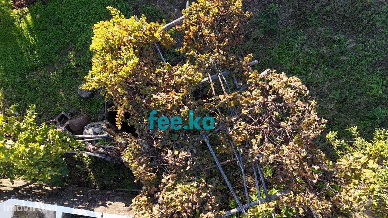 Terreno em Vale Figueira-9