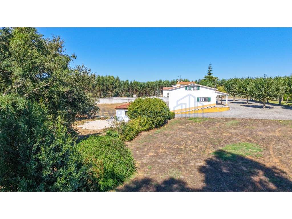 Quinta com 3,14 Hectares e Piscina | Ferreira do Zêzere-56
