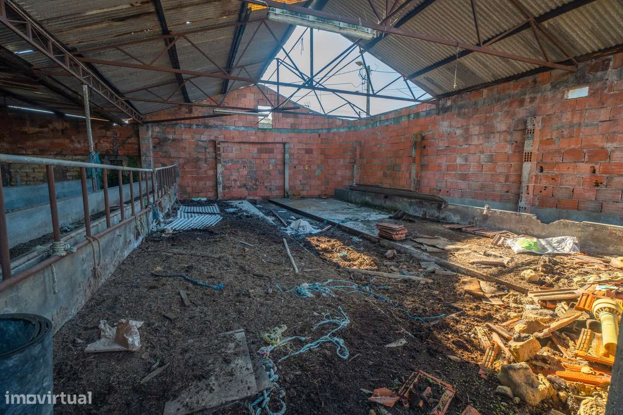 Moradia T2-Para Reconstrução-17