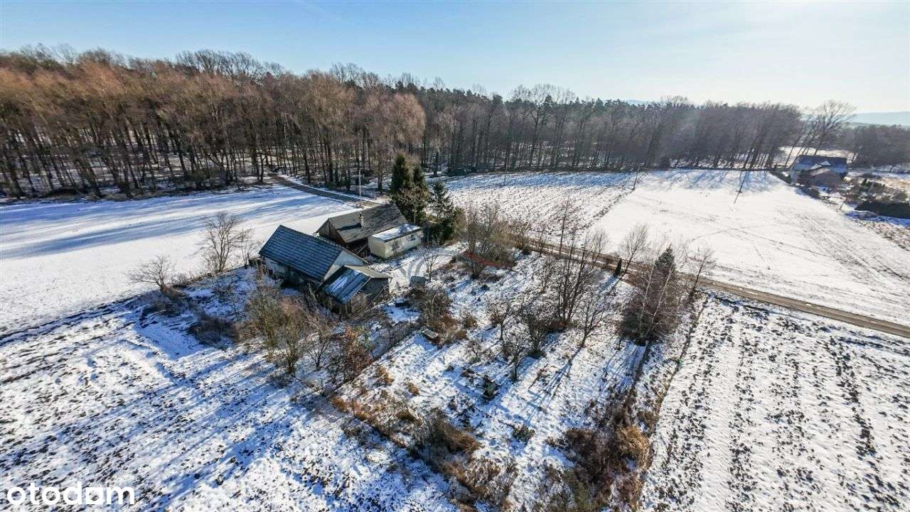 Dom z dużą działką w spokojnej okolicy-2