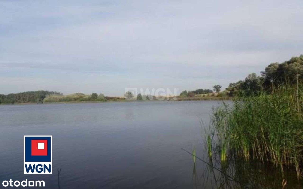 Działka Z Linią Brzegową Jeziora - Pełny obrazek: 4/14