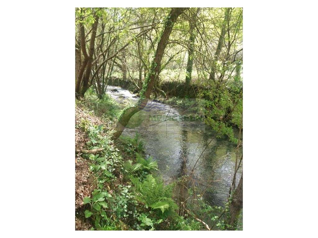 QUINTA JUNTO AO RIO VOUGA - Grande imagem: 4/7