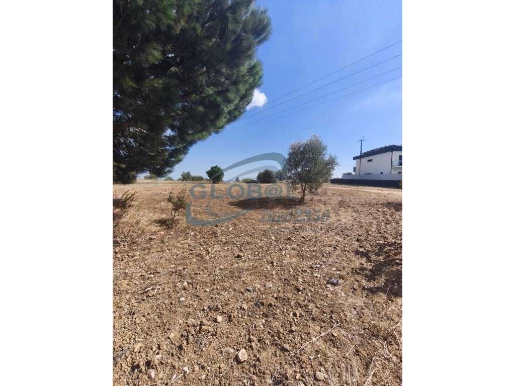 Terreno Venda Torres Novas - Grande imagem: 3/12