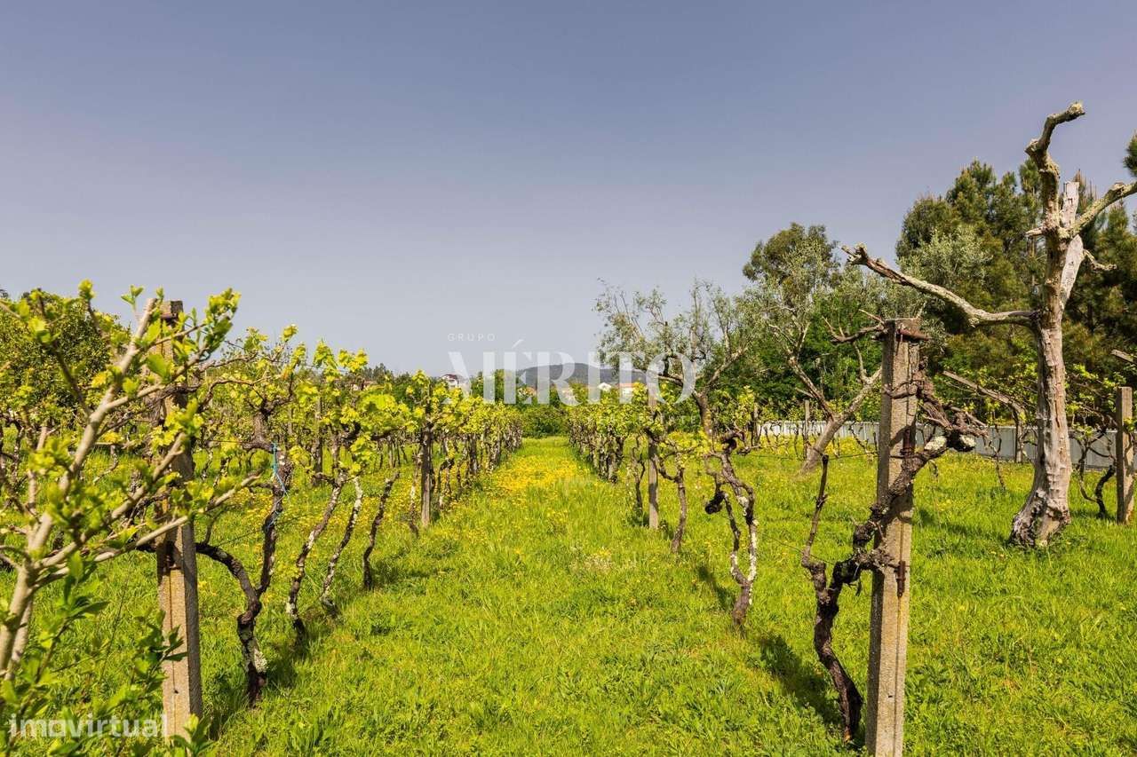 Quinta no Coração do Douro – Cinfães, Viseu-24