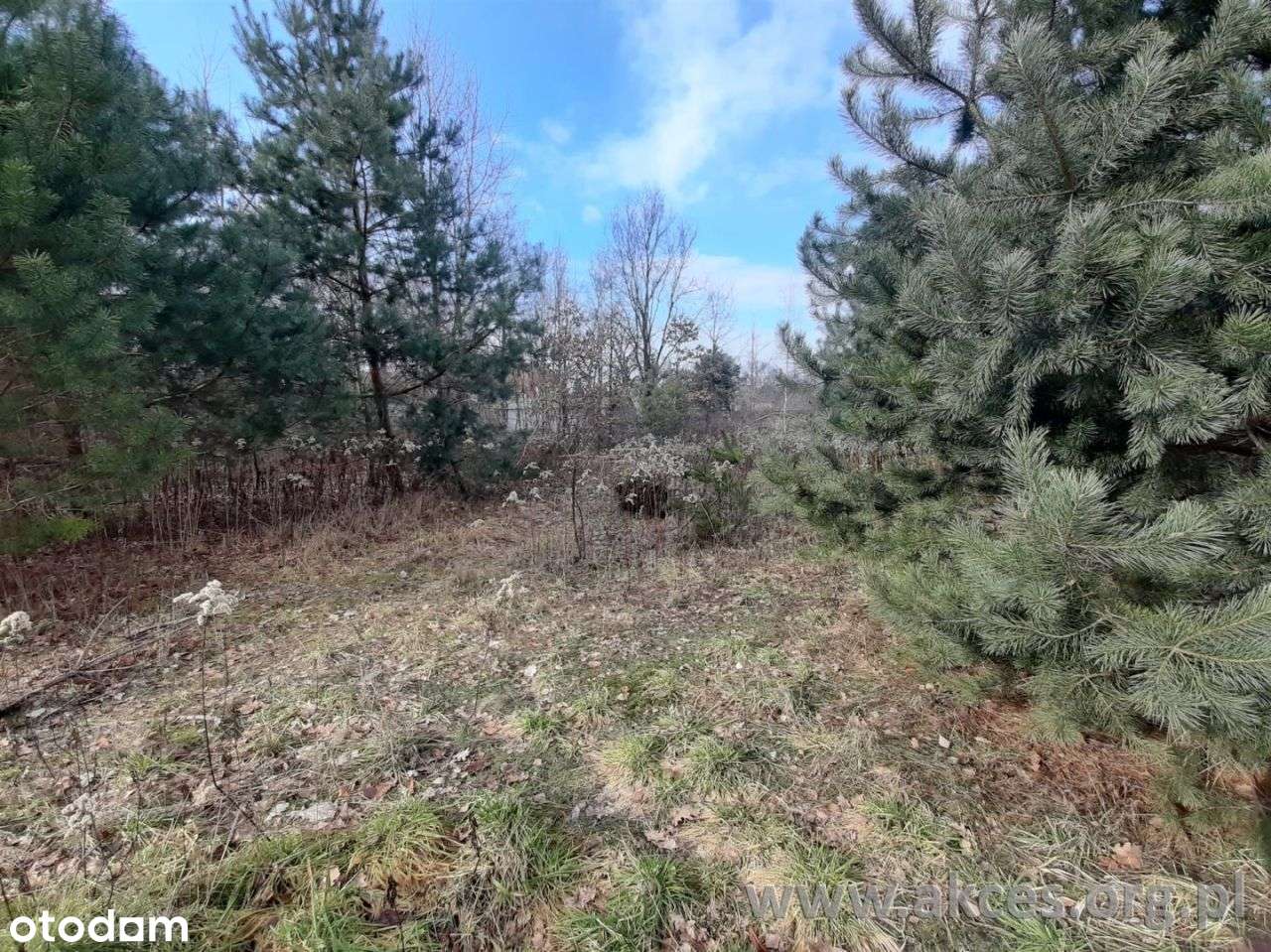 Warszawa, Ursynów, Działka Ul. Kapeli - Pełny obrazek: 3/12