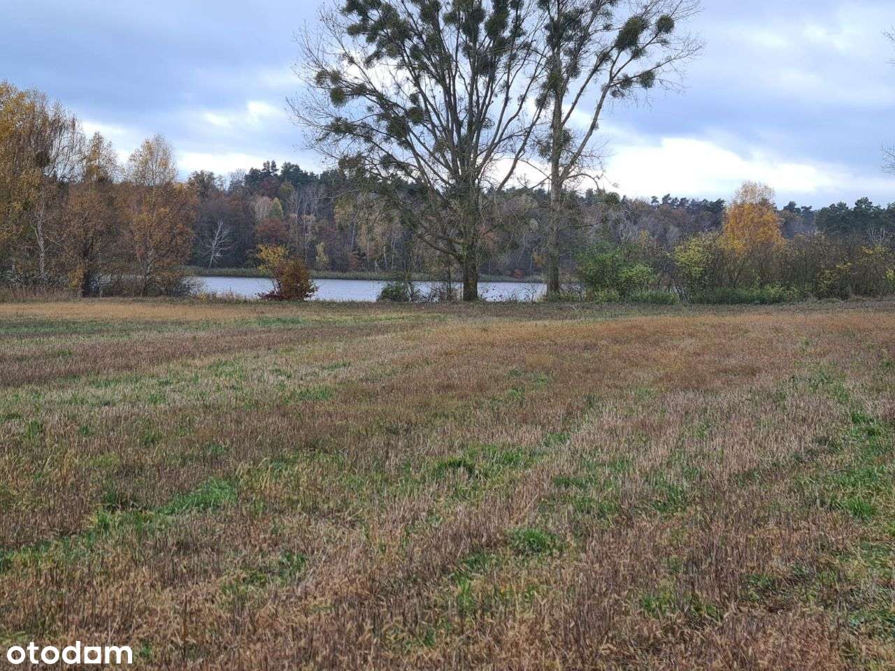Działka budowlana nad jeziorem Będzin!-6