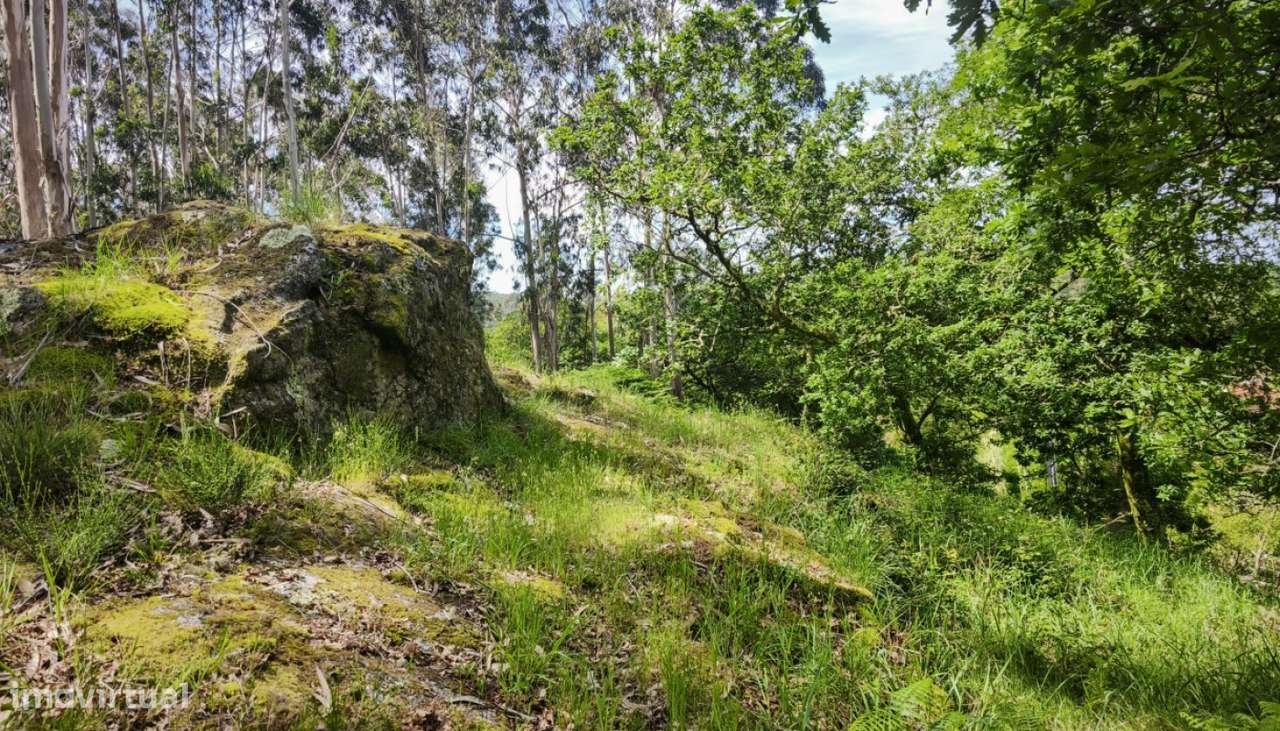 Venda de Quinta, Areosa, Viana do Castelo-15