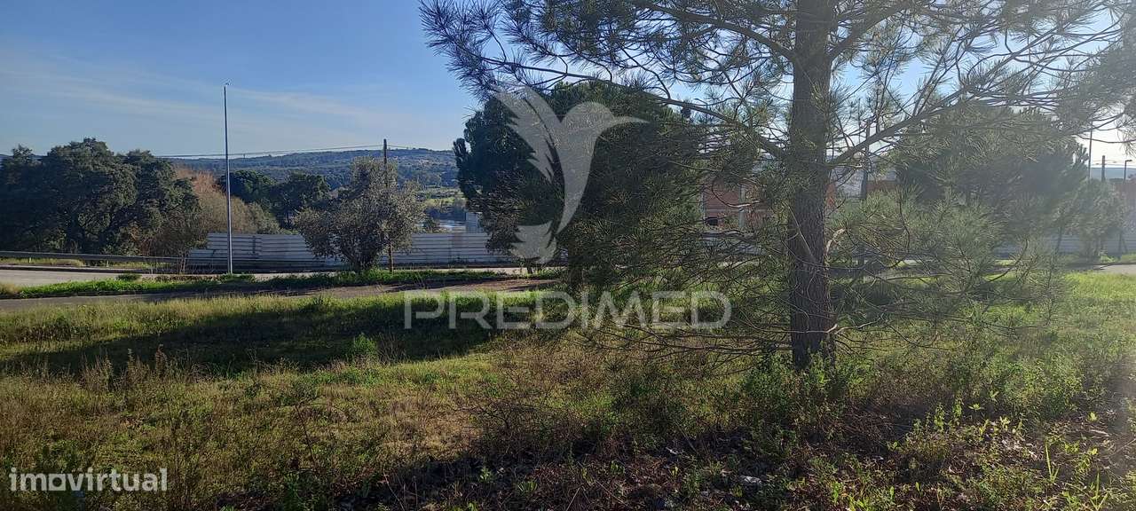 Lote de Moradia - Grande imagem: 5/6