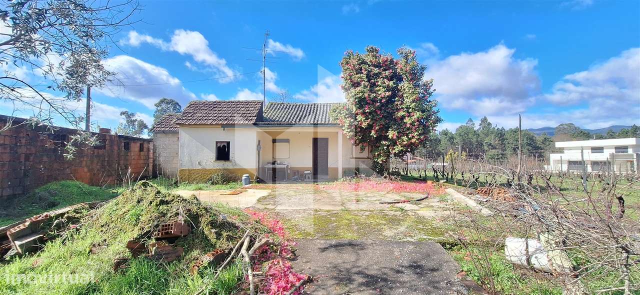 Moradia Devoluta T1 Venda em Molelos,Tondela-11