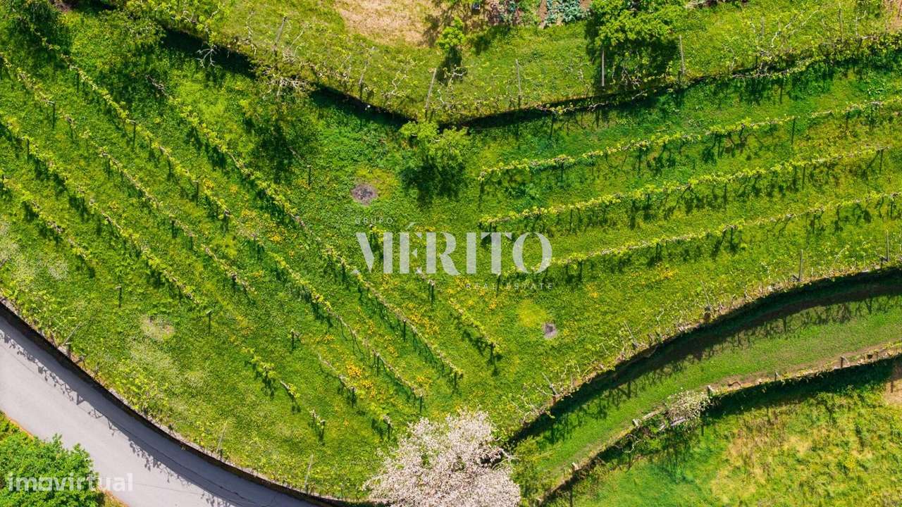 Quinta no Coração do Douro – Cinfães, Viseu-25