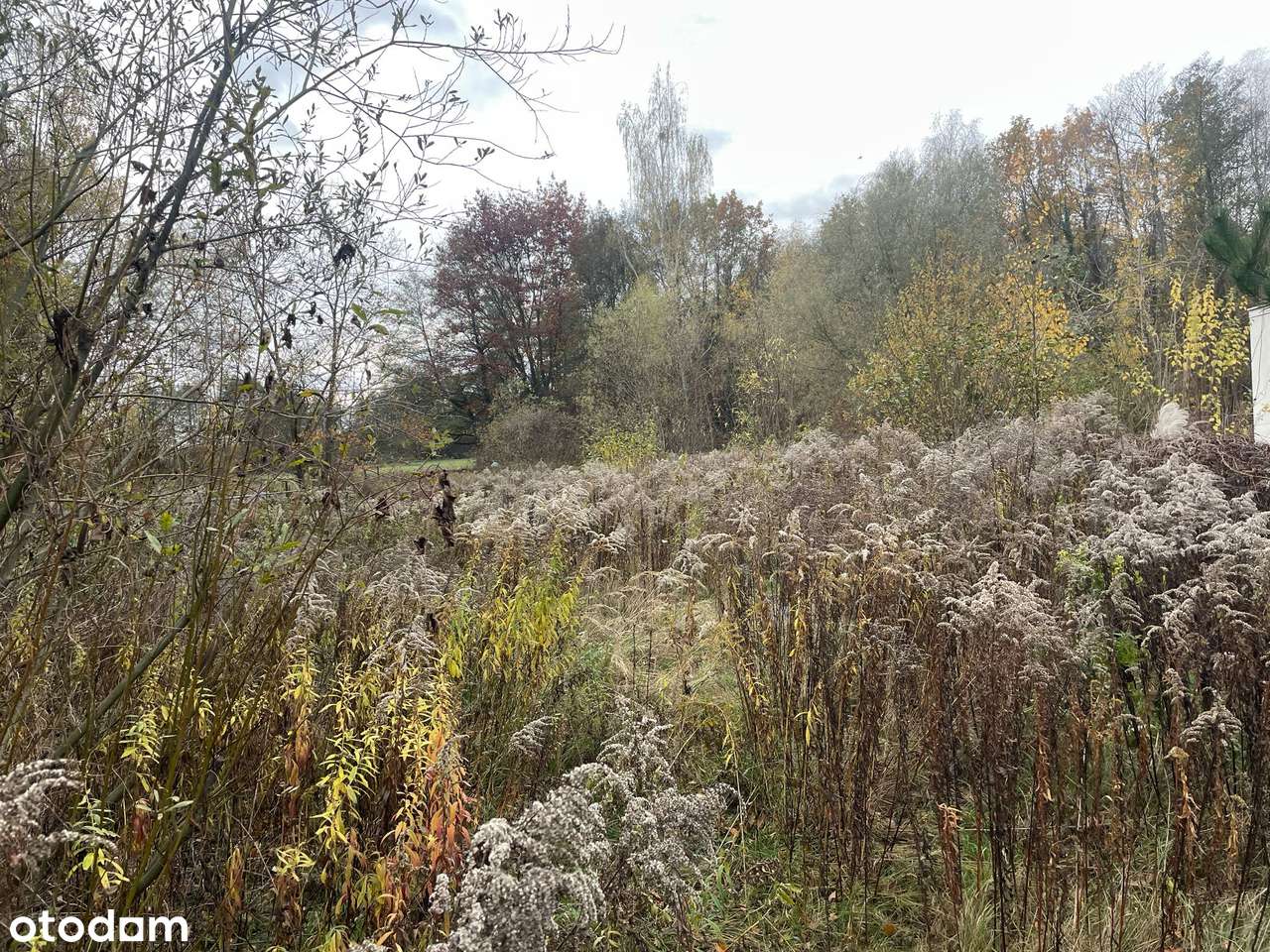 Sprzedam Działkę Owczarnia Ulica Malinowa - Pełny obrazek: 5/17