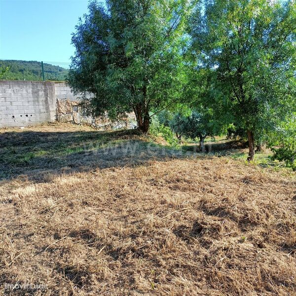 Lote / Fundão, Aldeia de Joanes