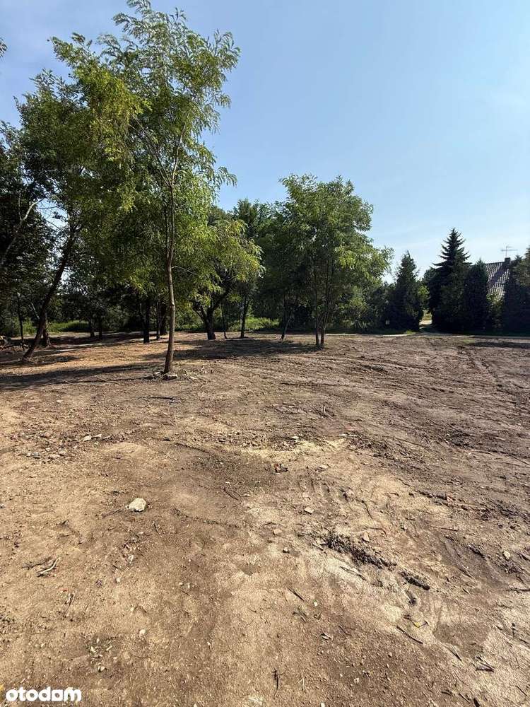Działki BUDOWLANE ze starodrzewiem SUPER CENA-3