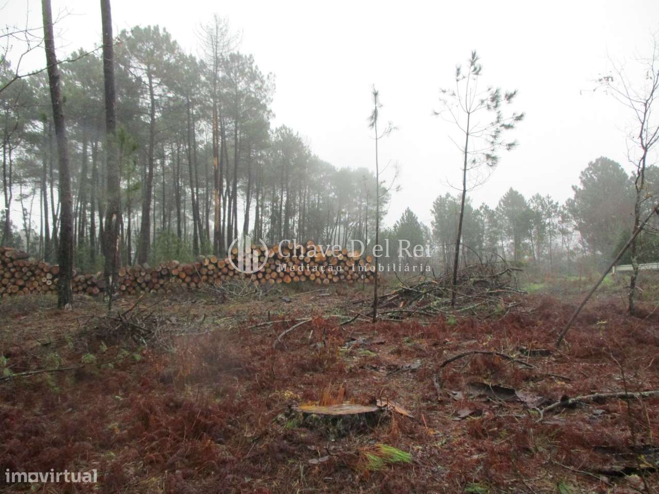 Terreno Para Construção  Venda em Ribafeita,Viseu - Grande imagem: 2/7