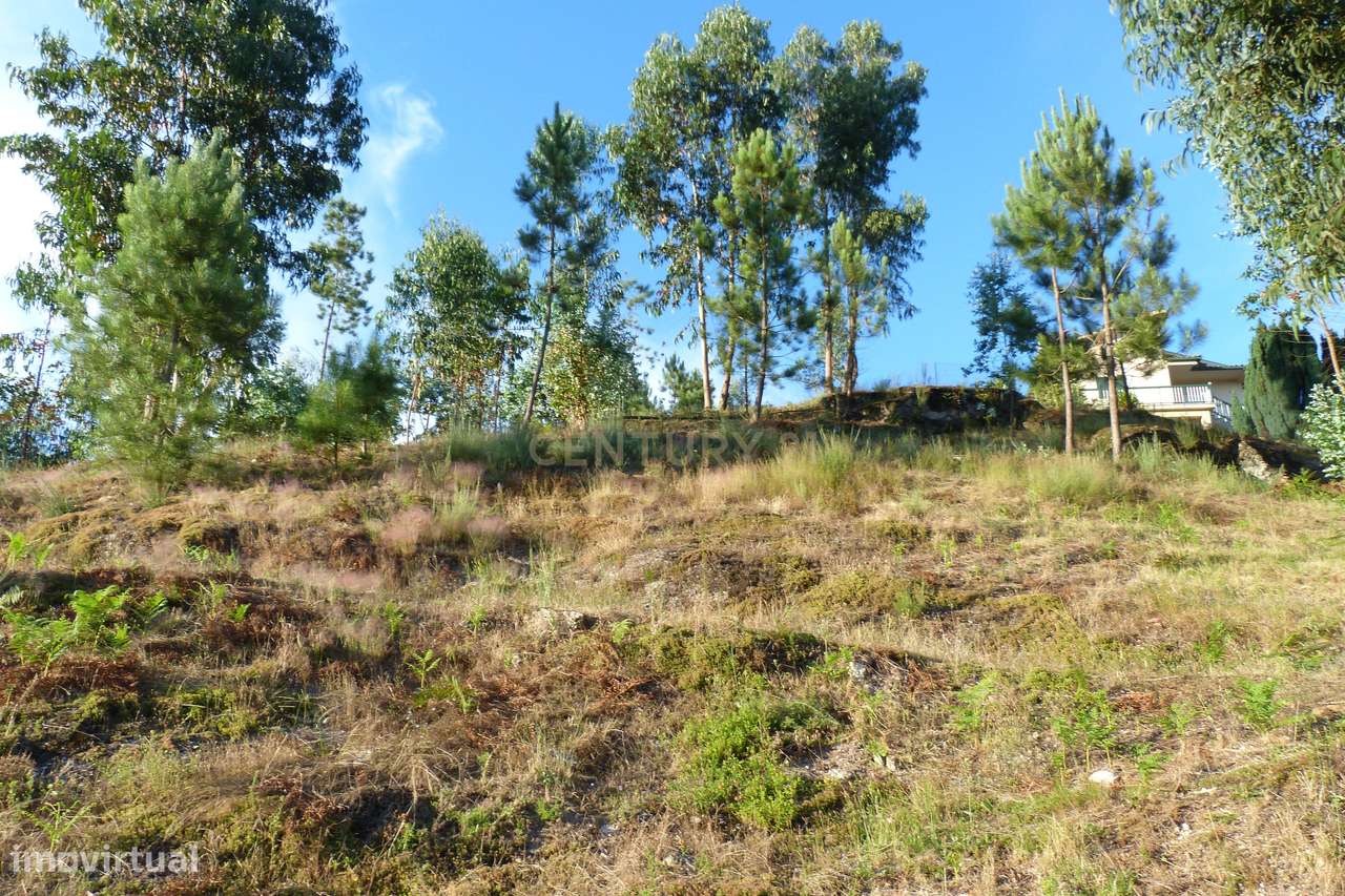 Terreno construção Póvoa de Lanhoso - Grande imagem: 5/18