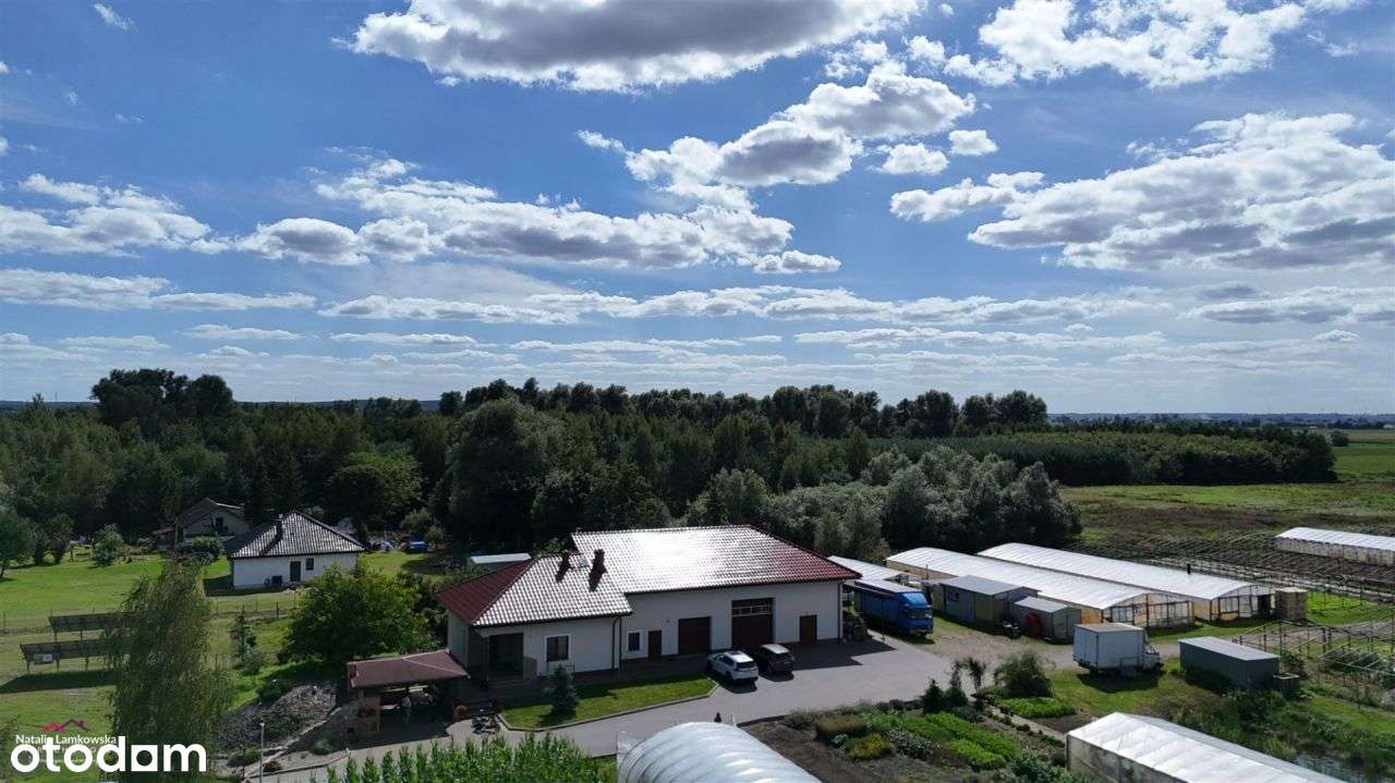 gospodarstwo rolne RUSINOWO - Pełny obrazek: 5/20