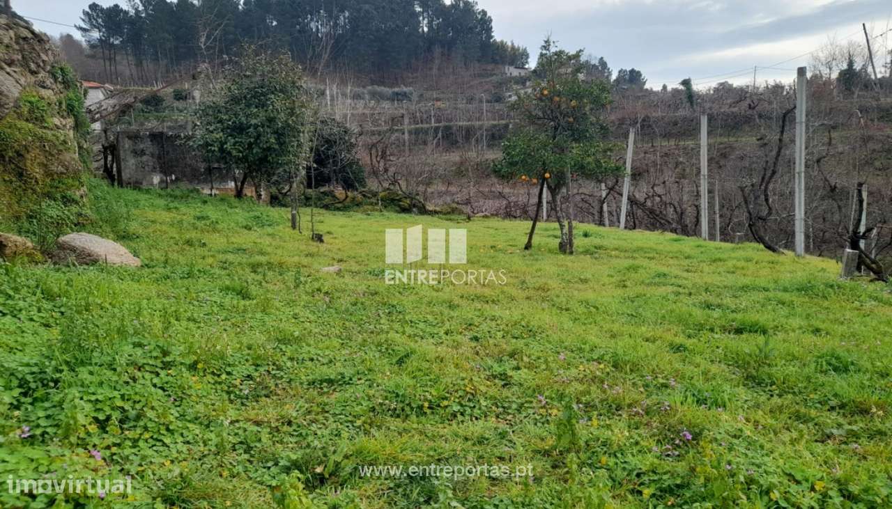 Venda Terreno, Gouveia (São Simão), Amarante - Grande imagem: 4/30