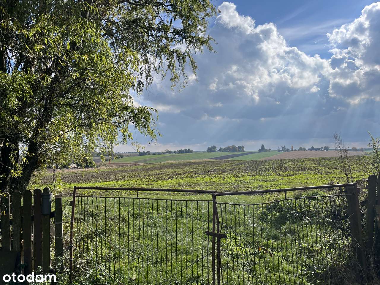 Spokojne i Ciche Siedlisko z domem na Lubelszczyznie - Pełny obrazek: 4/6