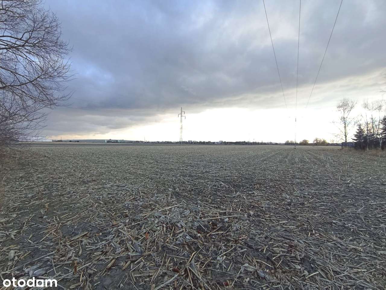 Działka inwestycyjna 3,2  ha Ożarów Mazowiecki DK92-4