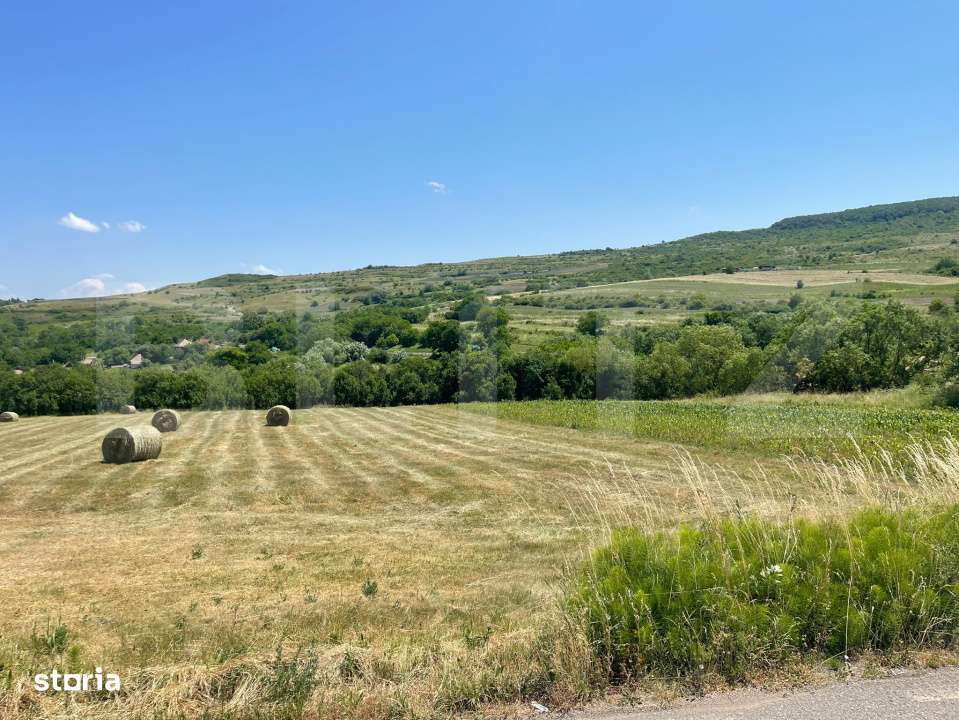 Teren intravilan, construibil in MACICASU , 3 KM de la Chinteni. - Imagine principală: 5/7