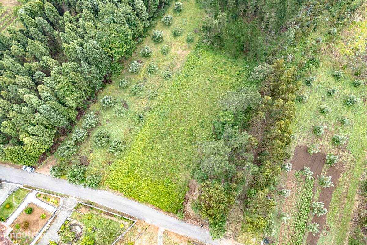 Terreno  para venda - Grande imagem: 5/10