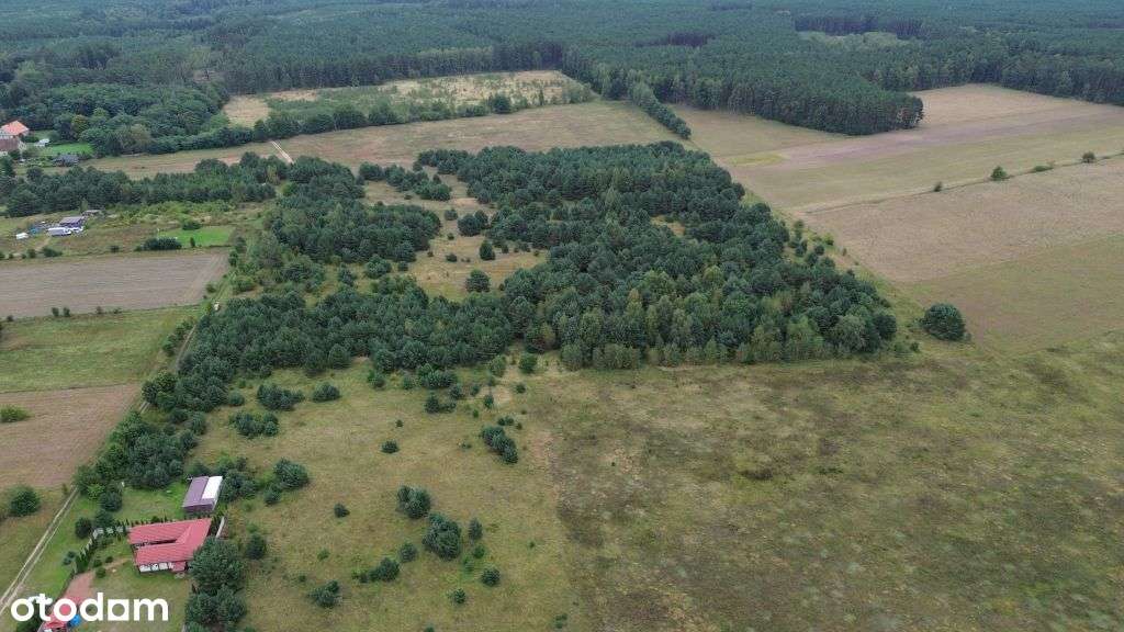 Blisko jeziora  - malowniczy Kosobudz/k Łagowa - Pełny obrazek: 4/9