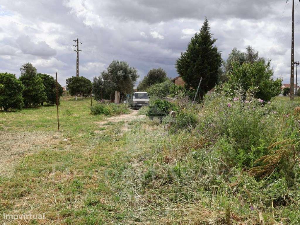 Moradia isolada na Golegã-12