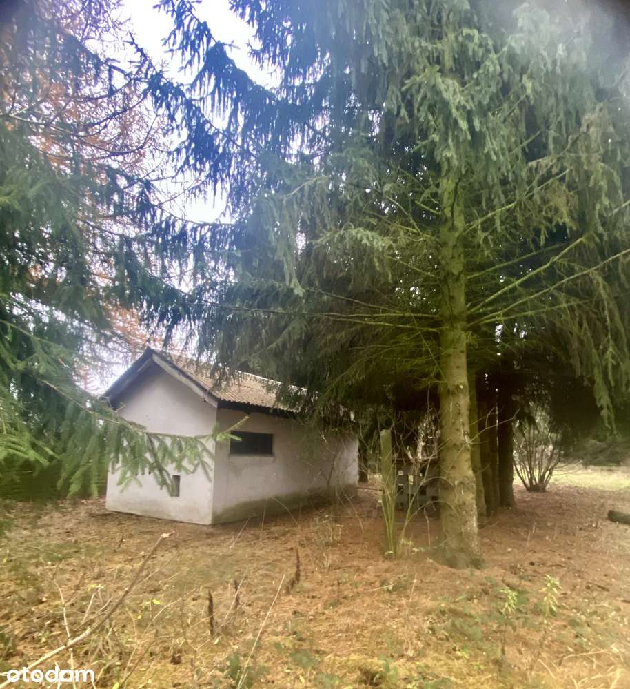 Działka z domem/ węzeł Tarczyn / - Pełny obrazek: 5/7