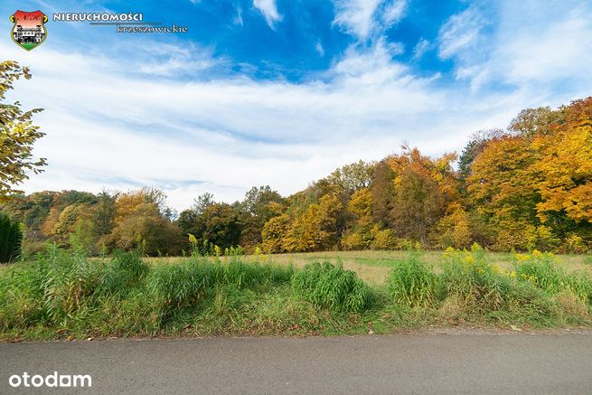 Wola Filipowska gm. Krzeszowice 430m² pod mały dom