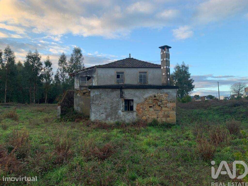 Casa / Villa T3 em Pedrógão Grande de 216 m2 - Grande imagem: 5/29