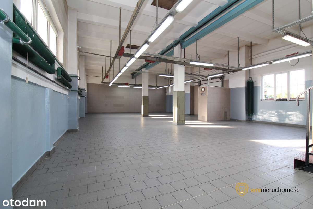 Hala produkcyjno-magazynowa/Warsztat/Biuro/Parking - Pełny obrazek: 5/12