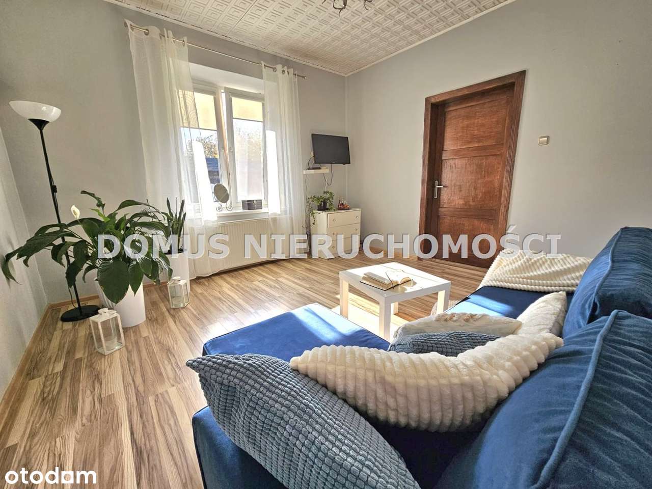 Klimatyczne siedlisko - Pełny obrazek: 4/17