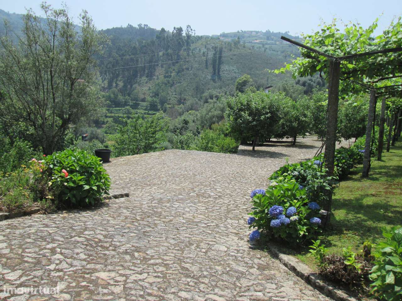 Quintinha no Minho Ponte de Lima * 10.000 m2 * a 90 Km do Porto-42