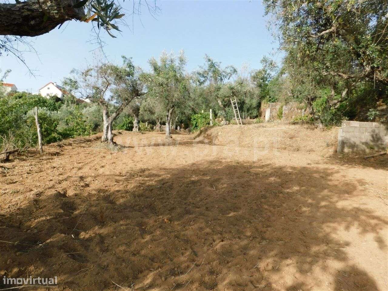 Quintinha / Fundão, Souto da Casa - Grande imagem: 2/20