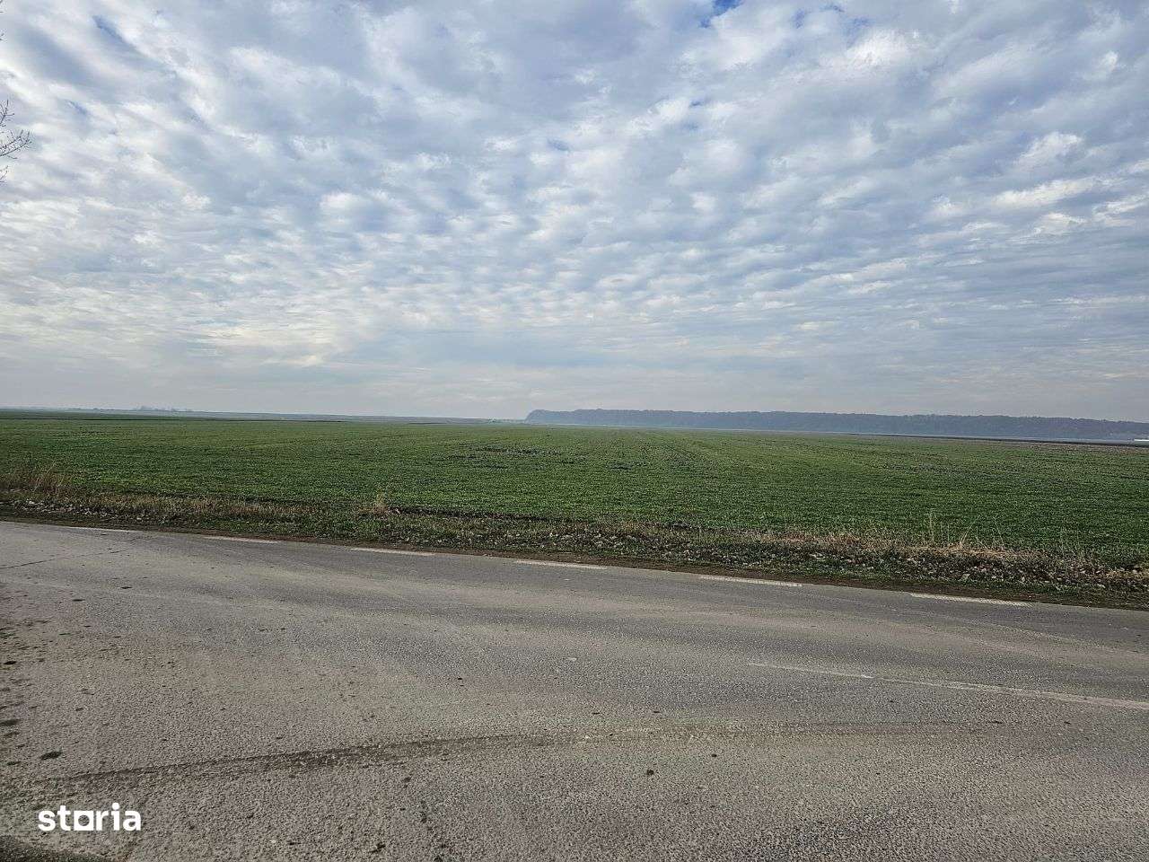 Teren intravilan in Comuna Afumați - Imagine principală: 2/4