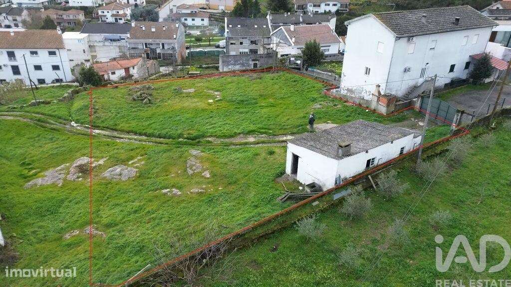 Terreno para construção em Alijó - Grande imagem: 3/13