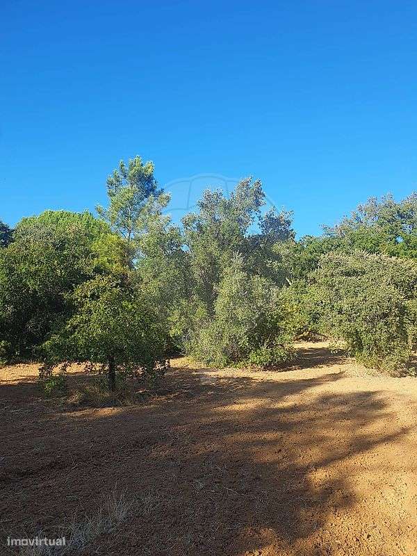 Terreno  para venda - Grande imagem: 2/15