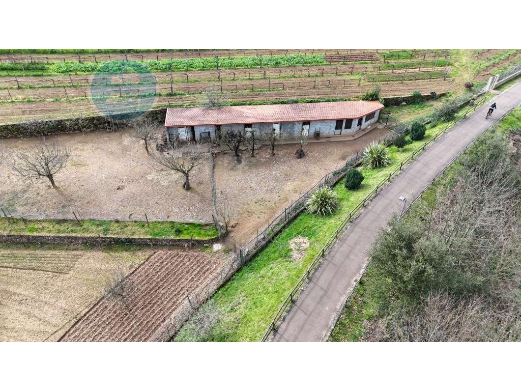 Quintinha à venda- Arco de Baúlhe-15