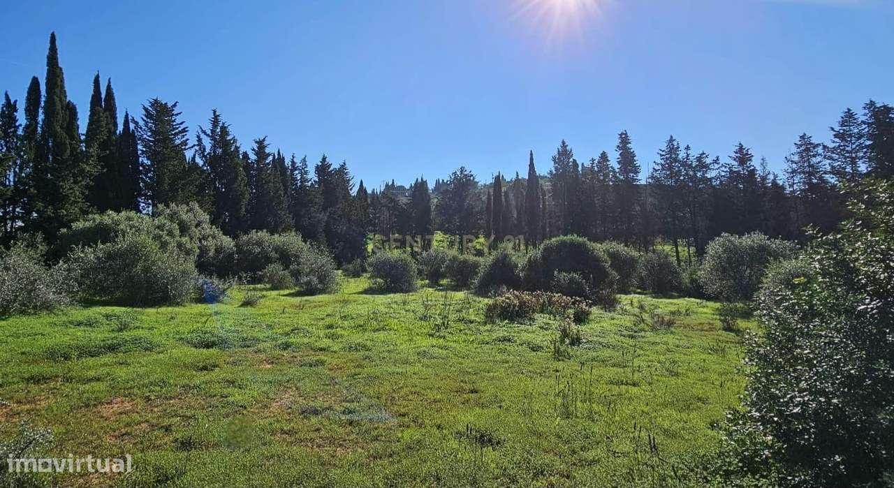 Quinta em Lagos, Praia da Luz,  46.000 m2, 2 casas e 2 Armazéns-18