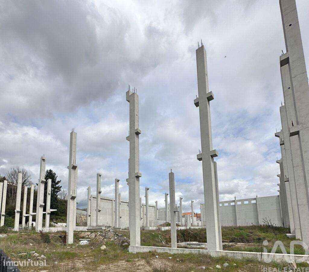 Terreno para construção em Lamego (Almacave e Sé) de 3806,00 m2 - Grande imagem: 5/5
