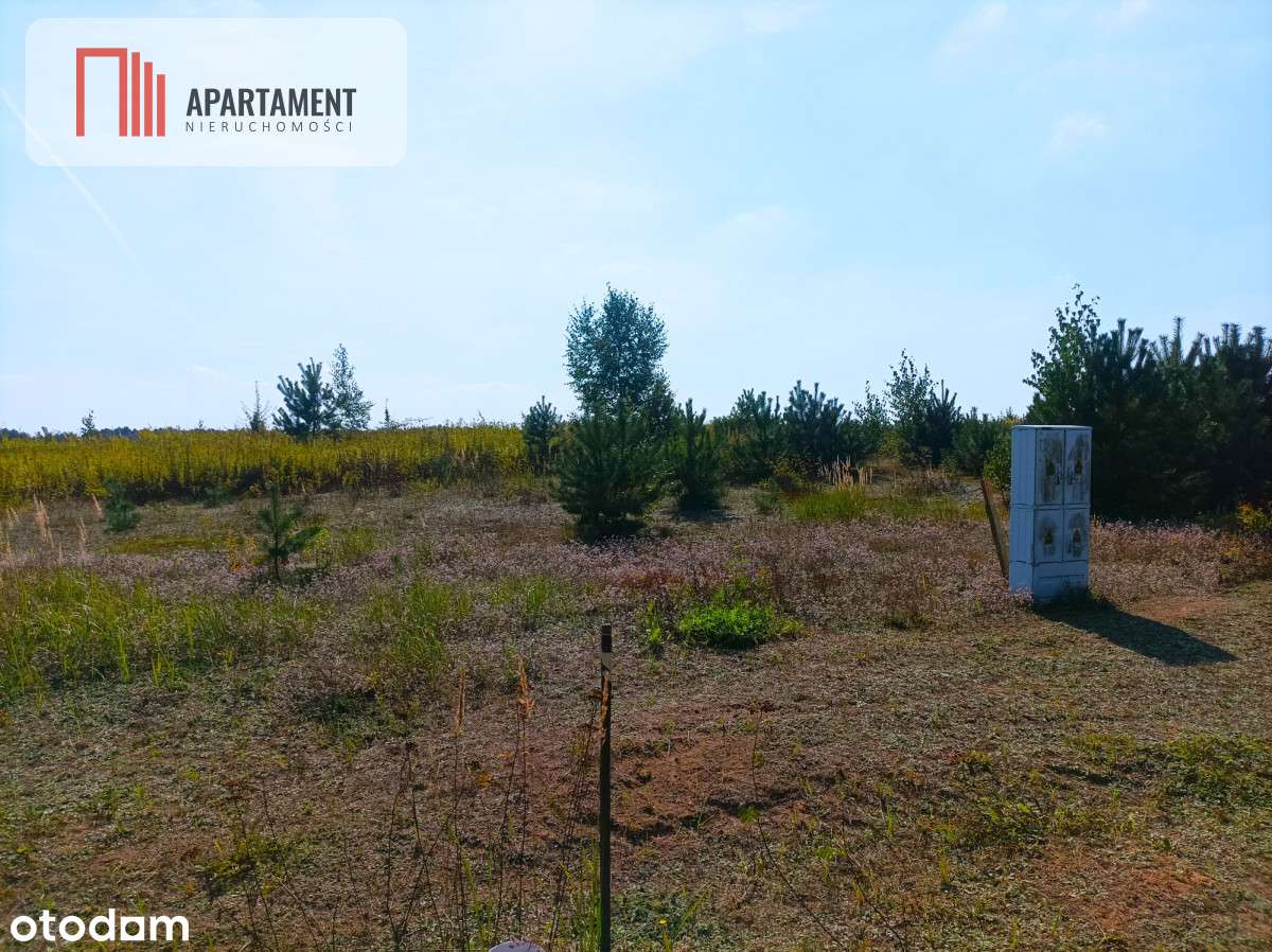 Tylko U Nas !!! Atrakcyjna Blisko Stelchna I Lasu - Pełny obrazek: 5/6