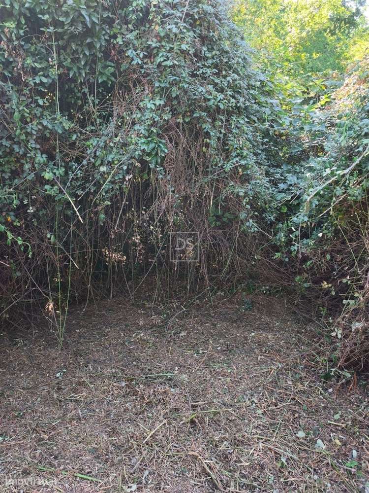 Quinta T2 Venda em Soalhães,Marco de Canaveses-15