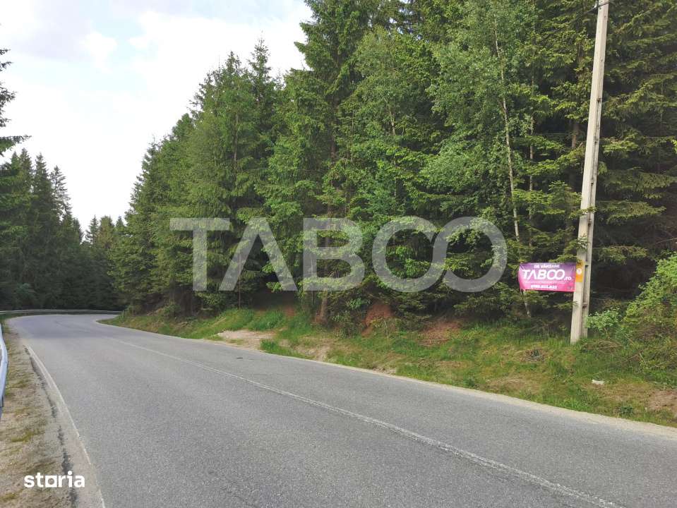 Teren cu puz intravilan in localitatea Paltinis din judetul Sibiu - Imagine principală: 4/8